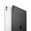 Ipad Pro 11" M4